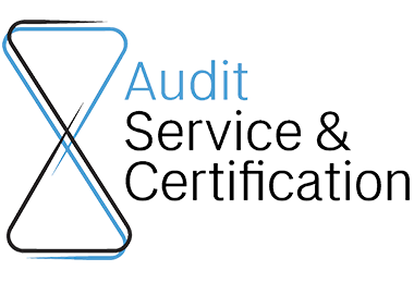 AUDIT LOGO